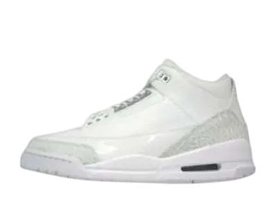 Nike Air Jordan 3 Retro "Silver Anniversary"