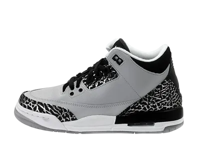Nike GS Air Jordan 3 Retro "Wolf Grey"
