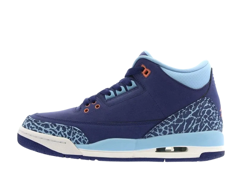 Nike GS Air Jordan 3 Retro "Purple Dust"