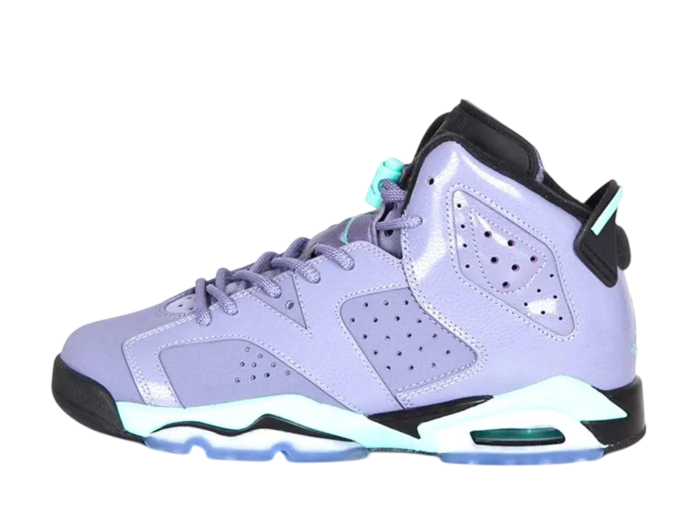 Nike GS Air Jordan 6 Retro "Iron Purple"