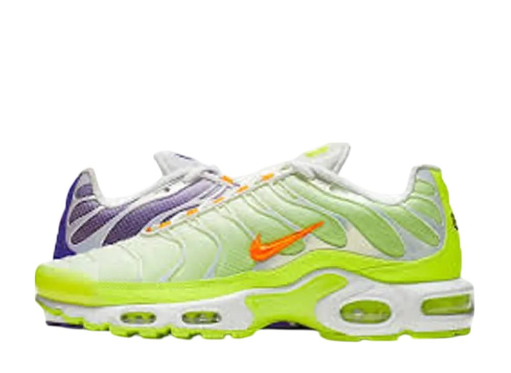 ナイキ エアマックスプラス "カラー フリップ パック グレープ"
