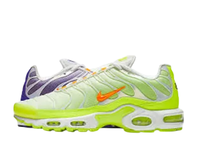 NIKE AIR MAX PLUS COLOR FLIP PACK GRAPE