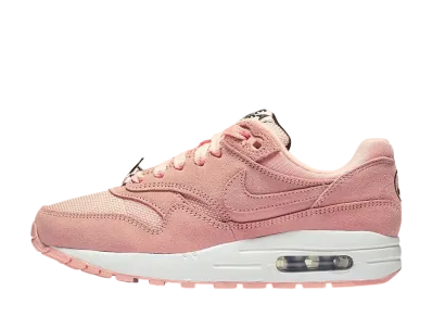 NIKE AIR MAX 1 HAVE A NIKE DAY BLEACHED CORAL (GS)