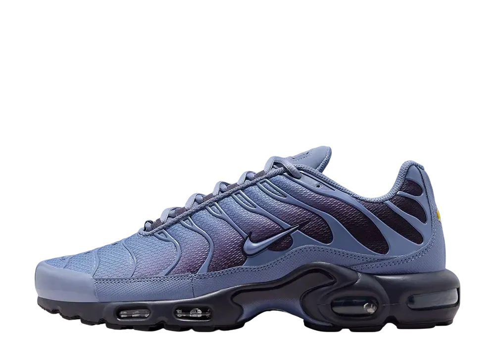 Nike Air Max Plus "World Indigo"