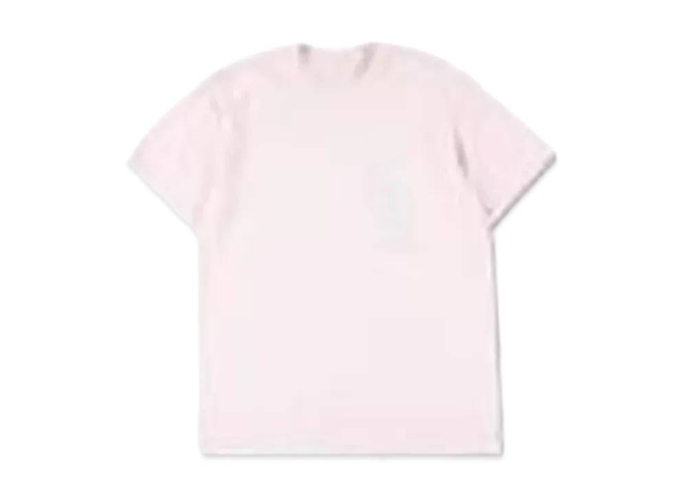 WIND AND SEA T-Shirt "Peach/Gray"