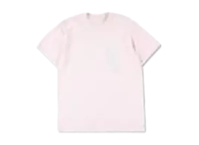 WIND AND SEA T-Shirt "Peach/Gray"