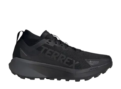 adidas Terrex Agravic GORE-TEX "Core Black/Grey Six"