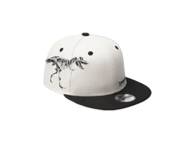 NEW ERA Youth 9Fifty Dinosaur Tyrannosaurus "Chrome White/Black"