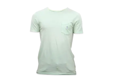 Polo Ralph Lauren Custom Slim Fit Cotton Pocket T-Shirt "Light Green"