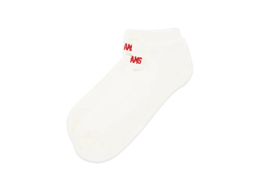 ANDFAMILYS Sports Mesh Socks 2pc - Low - "WH"