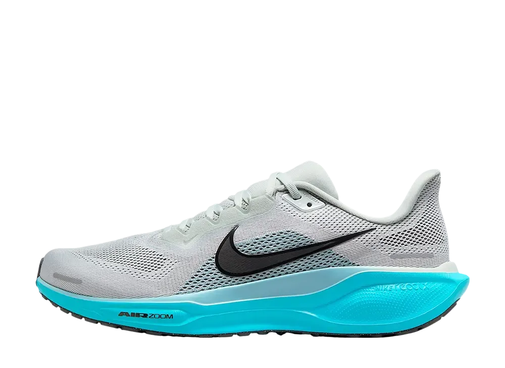 ナイキ ペガサス41 "ライトシルバー/デニムターコイズ/ダスティーカクタス/ブラック"