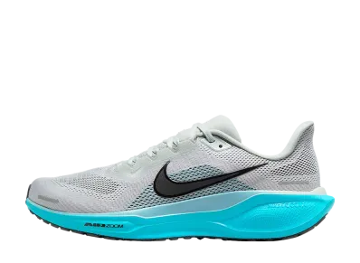 Nike Pegasus 41 "Light Silver/Denim Turquoise/Dusty Cactus/Black"