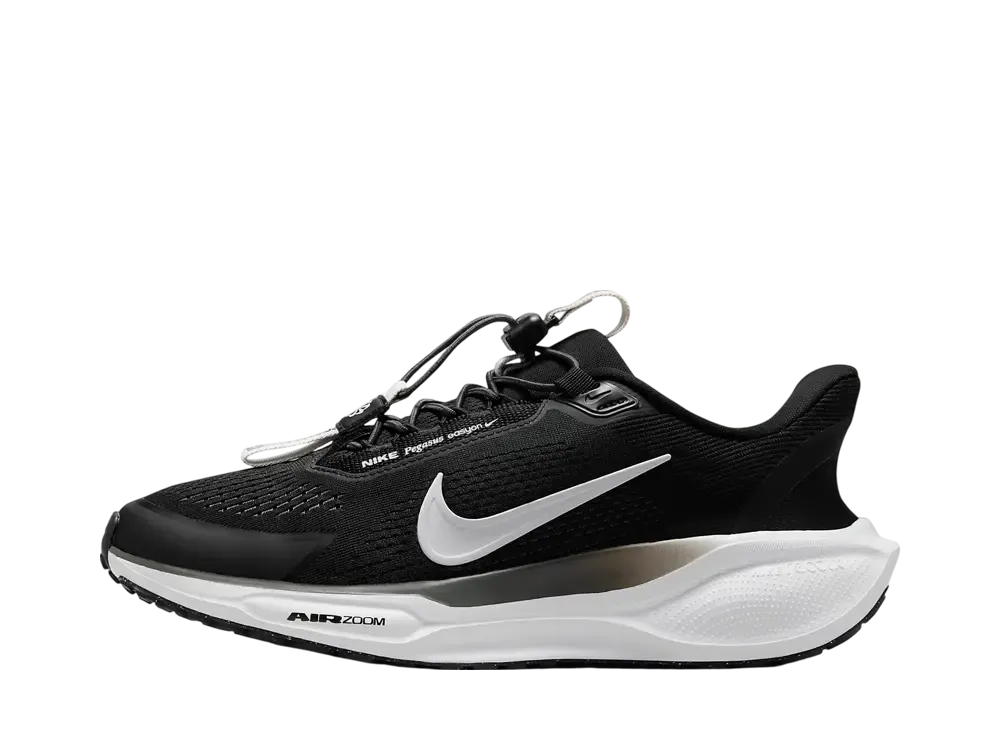 ナイキ ウィメンズ ペガサス イージーオン "ブラック/アンスラサイト/フォトンダスト/ホワイト"