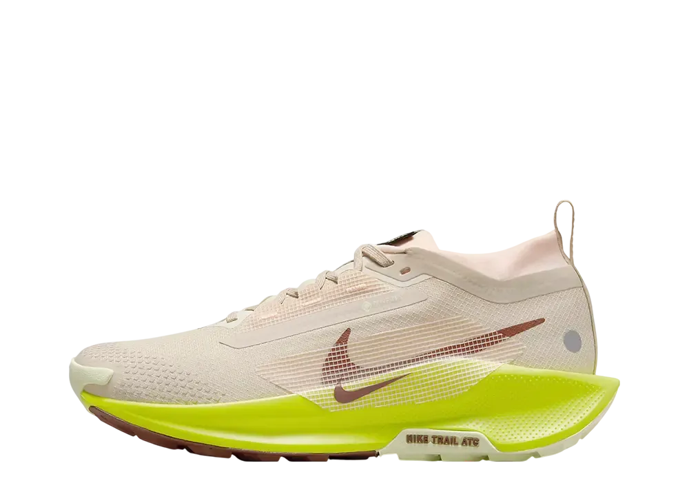 Nike Women's Pegasus Trail 5 GORE-TEX 