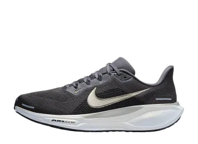 Nike Pegasus 41 "Medium Ash/Summit White/Light Silver/Metallic Gold Grain"