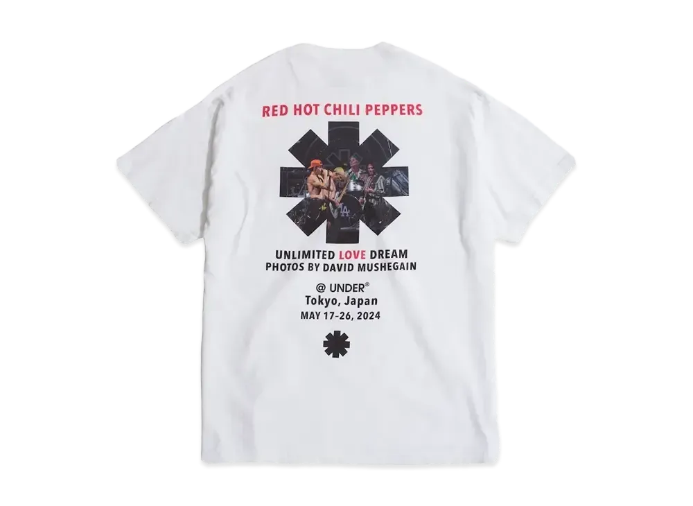 レッチリ ロンハーマン ポスター 1種 David Mushegainによる