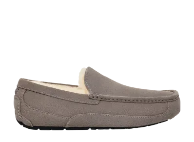 UGG Ascot "Grey"