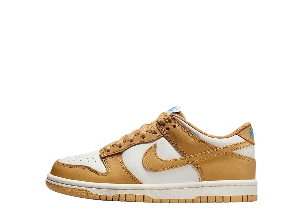 ナイキ GS ダンク ロー "ハニカム/セイル/ユニバーシティブルー/ハニカム" (キッズ)