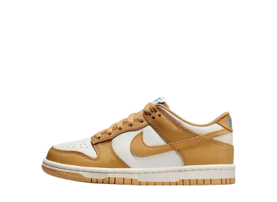 ナイキ GS ダンク ロー "ハニカム/セイル/ユニバーシティブルー/ハニカム" (キッズ)