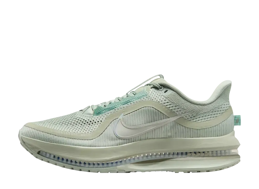 Nike Pegasus Premium "Jade Horizon"