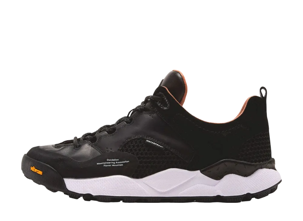 フラワーマウンテン バックカントリー "ジェットブラック"