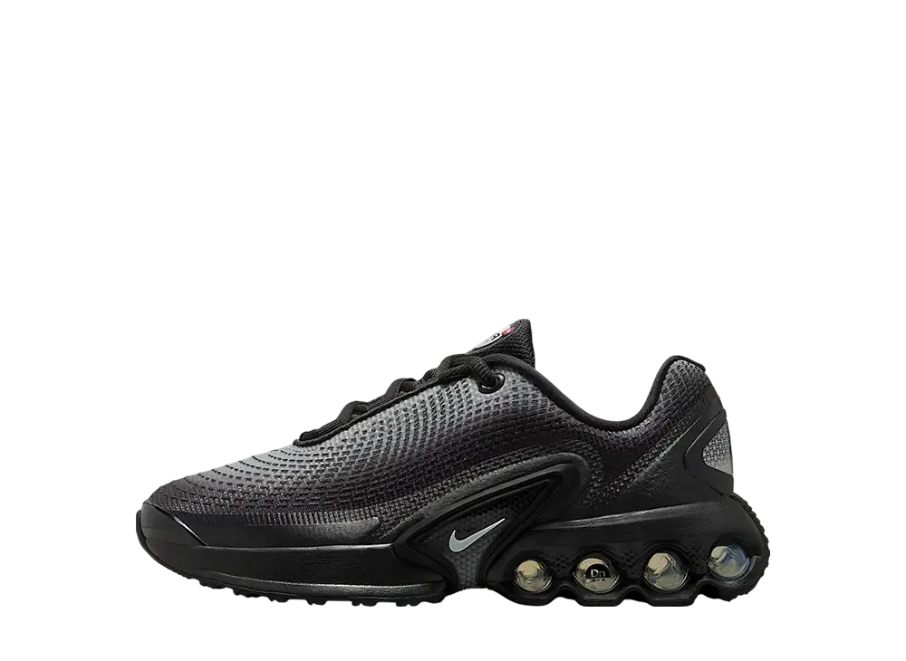 Nike GS Air Max DN "Black/Metallic Silver/Anthracite/Light Smoke Grey"
