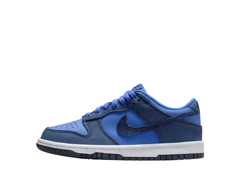 ナイキ GS ダンク ロー "コメットブルー" (キッズ)