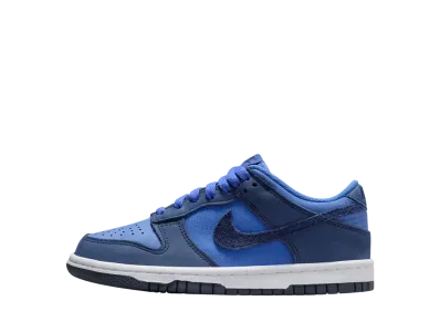 ナイキ GS ダンク ロー "コメットブルー" (キッズ)