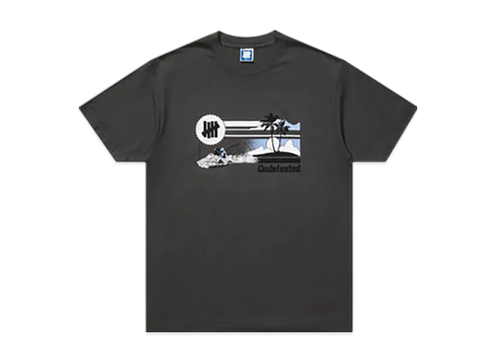 UNDEFEATED Souvenir S/S Tee "Gray"