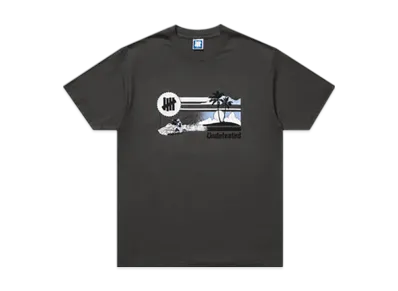 UNDEFEATED Souvenir S/S Tee "Gray"