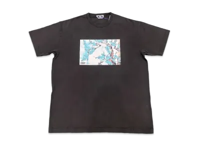 Kith Osaka Blossom Vintage Tee "Black"