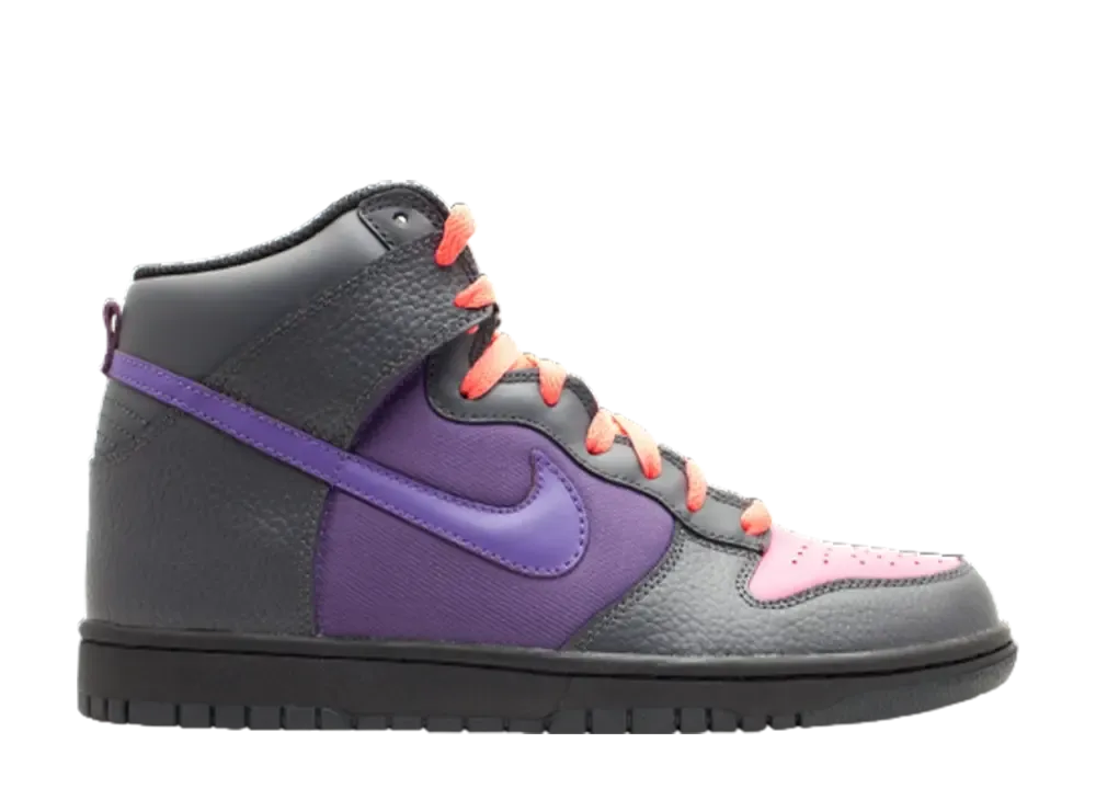 ナイキ ダンク ハイ "Acg パック"