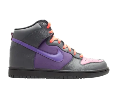 ナイキ ダンク ハイ "Acg パック"