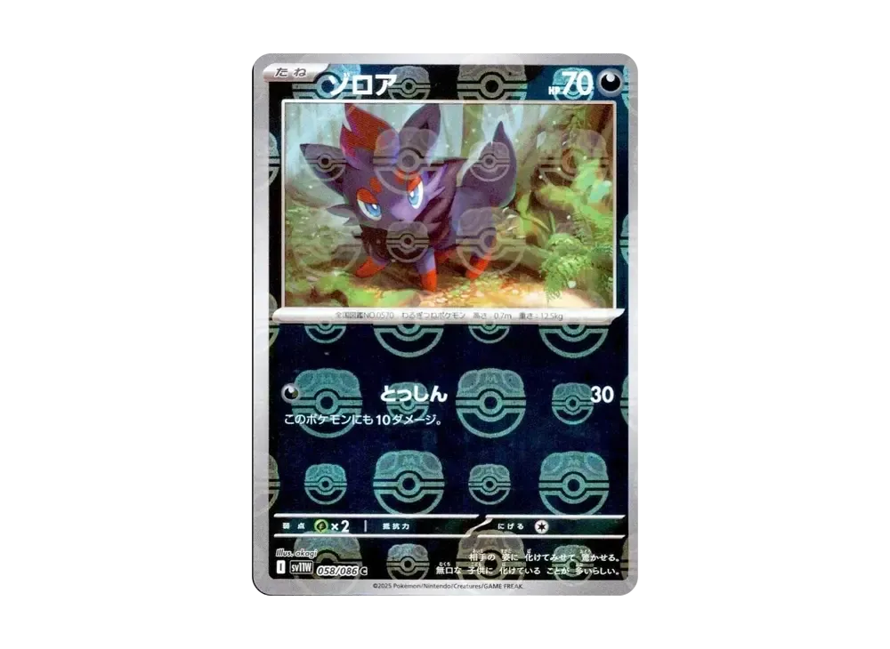 ゾロア C :マスターボールミラー [SV11W 058/086](拡張パック