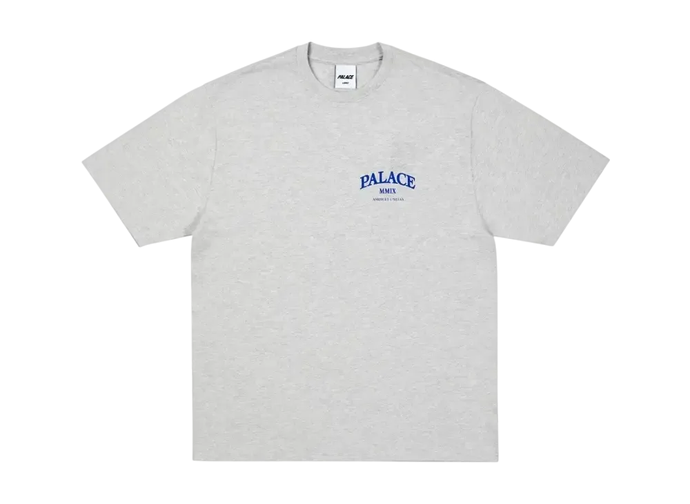 PALACE SLUB CREW 21FW Lサイズ　新品タグ付き PALACE Unitas Slub T-Shirt 