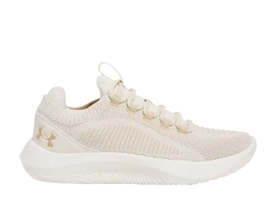 アンダーアーマー UAフロー ダイナミック2 "ストーン/ブラウンストーン"