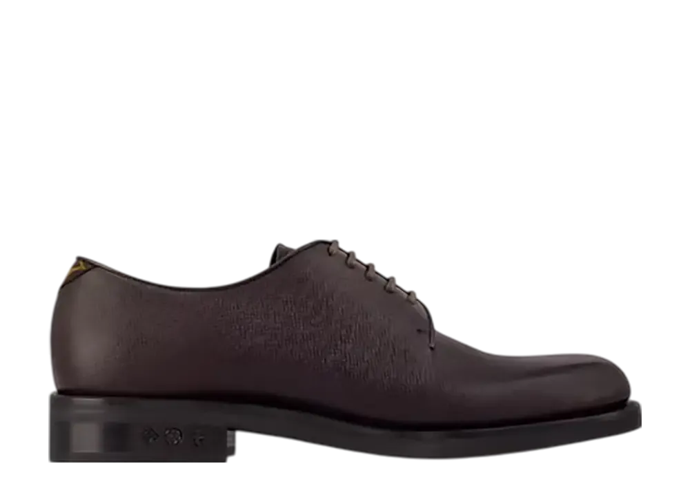 ルイヴィトン LV フレックス ダービー "モカ"