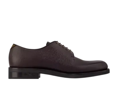 Louis Vuitton LV Flex Derby "Mocha"