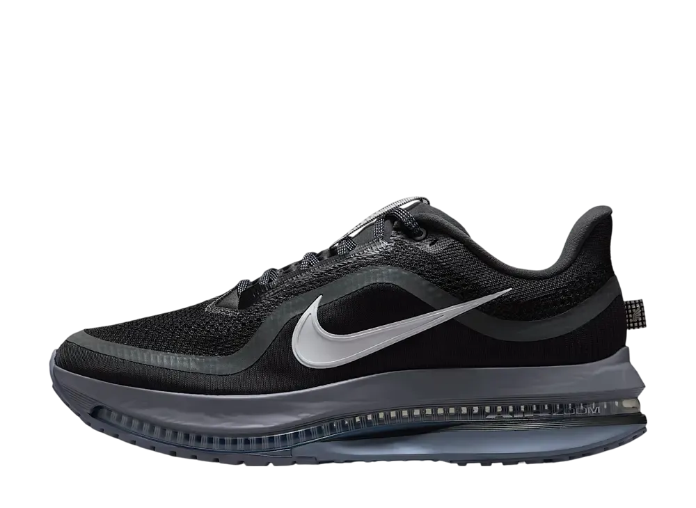 Nike Pegasus Premium "Anthracite/Ashen Slate"