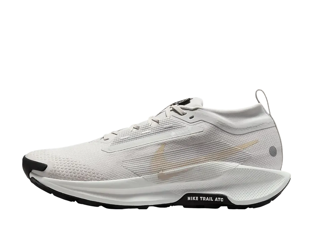 Nike Pegasus Trail 5 GORE-TEX "Vast Grey/Summit White/Black/Sanddrift"