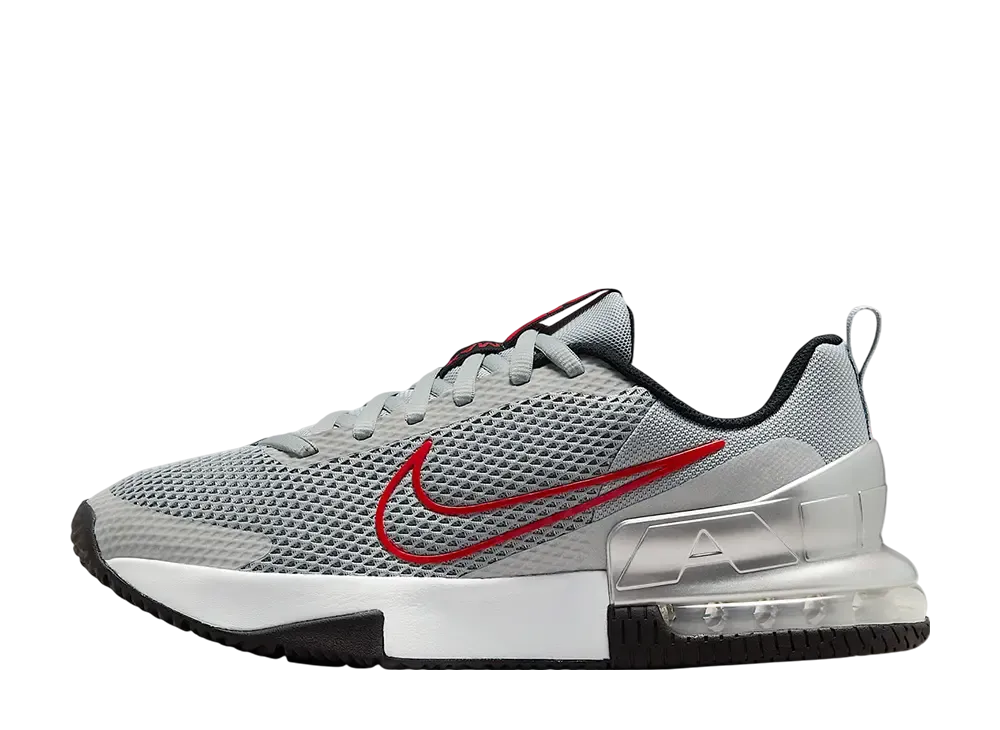 ナイキ エアマックス アルファ トレーナー6 "フラットシルバー/メタリックシルバー/ブラック/ユニバーシティレッド"