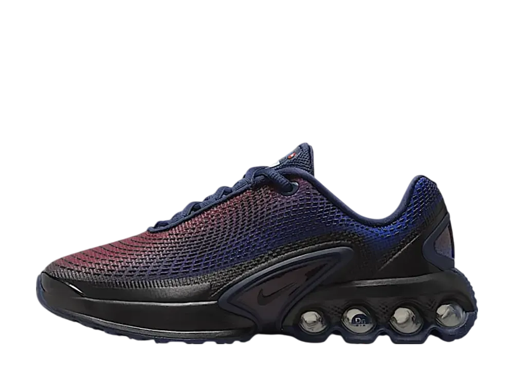 ナイキ GS エアマックスDN "ダークチームレッド/ミッドナイトネイビー/ハイパーロイヤル/ブラック" (キッズ)