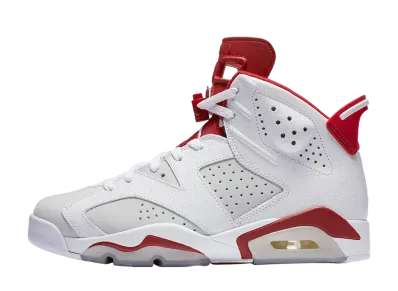 Nike Air Jordan 6 Retro "Altenate Hare"