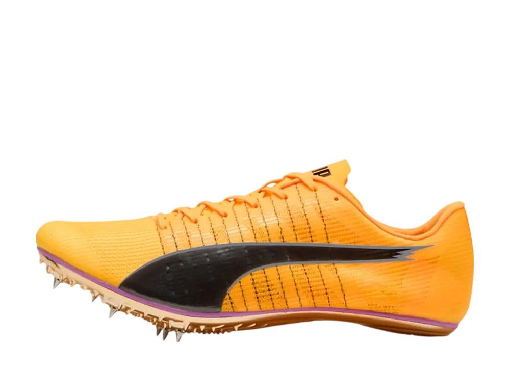 プーマ エヴォスピード ブラッシュ6 "サンストリーム/ピュアマゼンタ/プーマブラック"