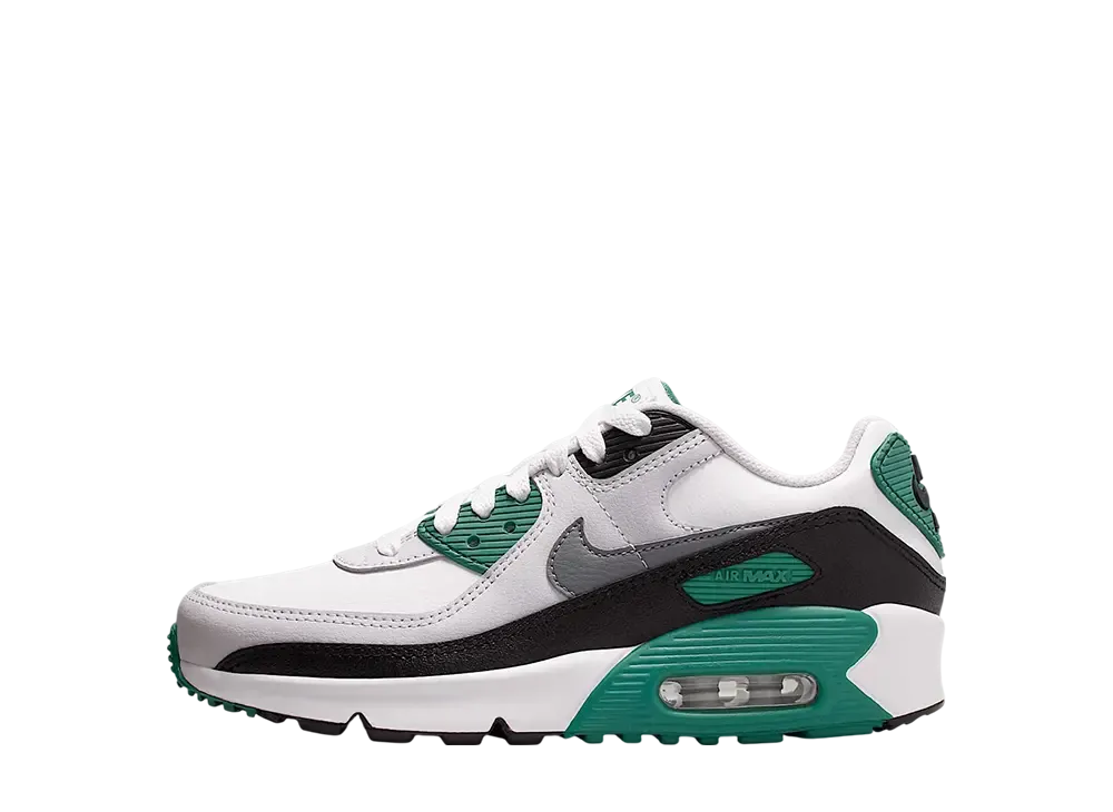Nike GS Air Max 90 LTR "Evergreen Aura/Summit White/Vast Grey/Cool Grey"