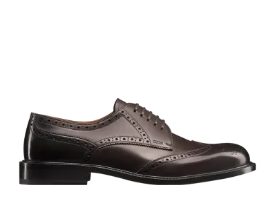 Dior Embassy Derby Brogues Shoe Calfskin "Brown"