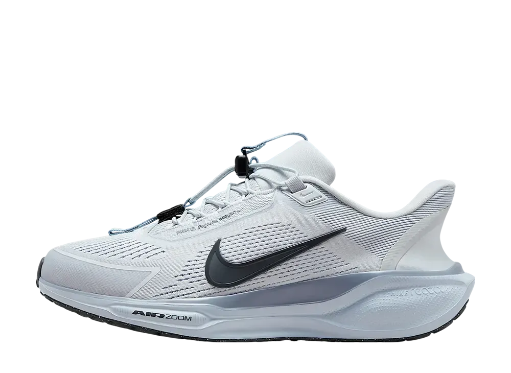 ナイキ ペガサス イージーオン "ピュアプラチナム/アッシェンスレート/ライトアーモリーブルー/アンスラサイト"