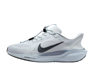 Nike Pegasus EasyOn "Pure Platinum/Ashen Slate/Light Armory Blue/Anthracite"