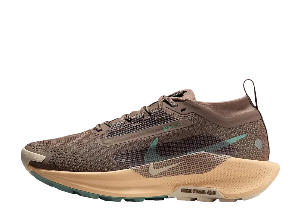 Nike Women's Pegasus Trail 5 GORE-TEX "Mink Brown/Orange Chalk/Pearl White/Cannon"