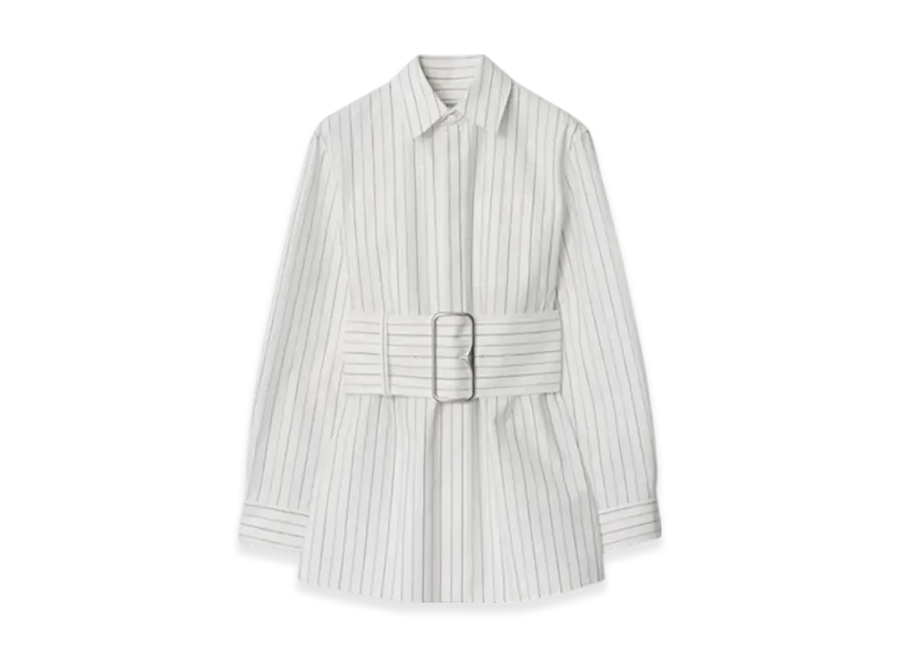 Burberry Regular Fit Stripe Cotton Shirt "String/Coal"